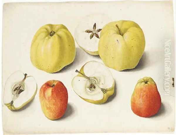 Four apples and four halves of apples Oil Painting by German School