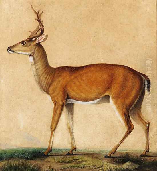 A roebuck, with Vesuvius in the distance Oil Painting by Neapolitan School