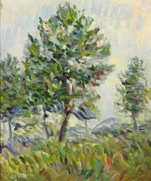 Etude Preparatoire Pour Un Paysage Aux Arbres Oil Painting by Nicolas Tarkhoff