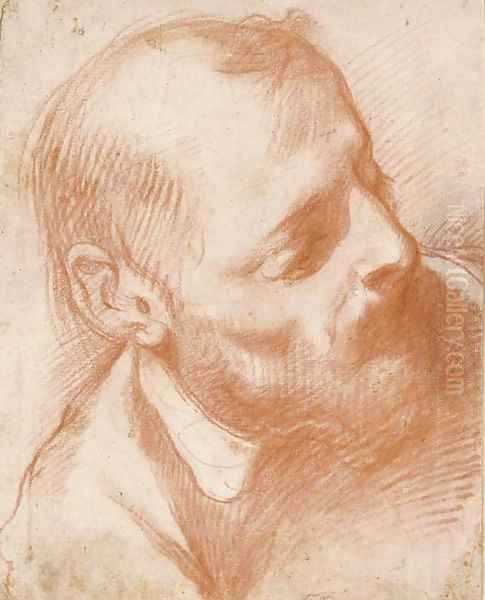 Head of a bearded man turned to the right Oil Painting by Florentine School