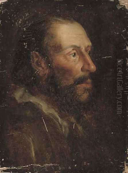 Head of a bearded man Oil Painting by Flemish School