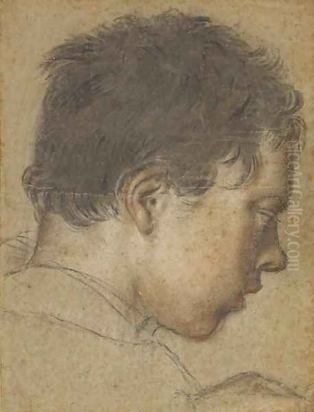 The head of a boy in profile looking down to the right Oil Painting by Venetian School