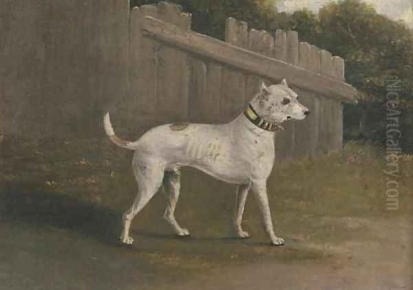 A bullterrier by a fence Oil Painting by Francis Sartorius