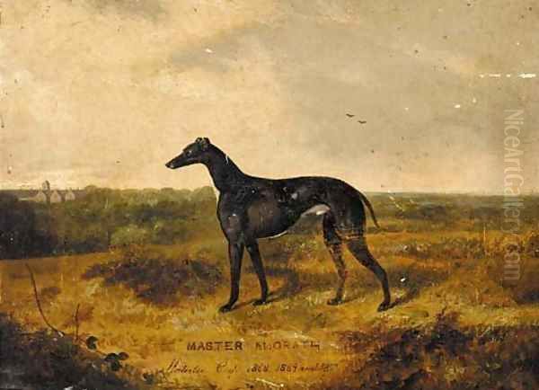 Master McGrath, the three times Waterloo Cup-winning greyhound Oil Painting by English Provincial School