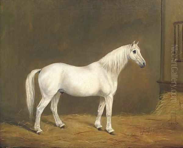 Mr Upright's Jack, a grey horse in a stable Oil Painting by English Provincial School