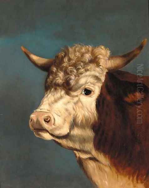 The head of a prize bull Oil Painting by English Provincial School