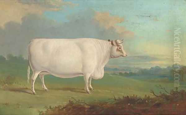 A cow in an extensive landscape Oil Painting by English Provincial School