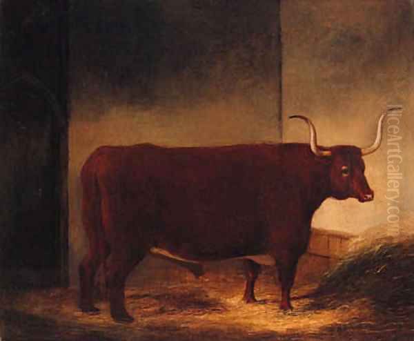 A Long Horn Bull in a Barn Oil Painting by English Provincial School