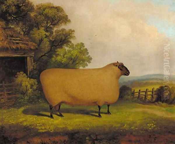 A prize ram in a field Oil Painting by English Provincial School