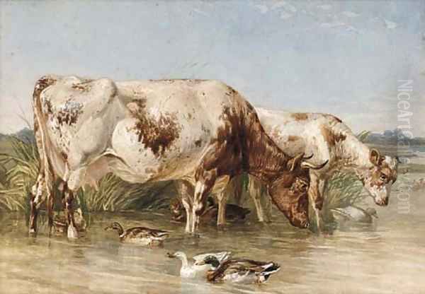 Cattle watering at a duck pond Oil Painting by English Provincial School