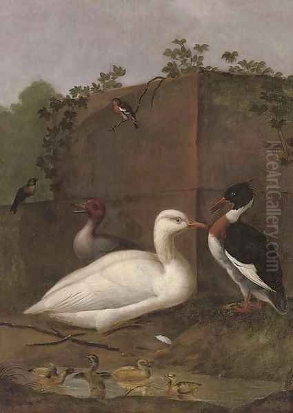 A duck Oil Painting by Aert Schouman