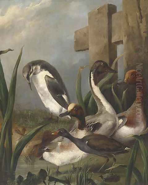 Ducks, a moorhen, an auk and a dragonfly by a river Oil Painting by Aert Schouman