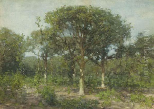 A Wooded Landscape Oil Painting by Willem Bastiaan Tholen