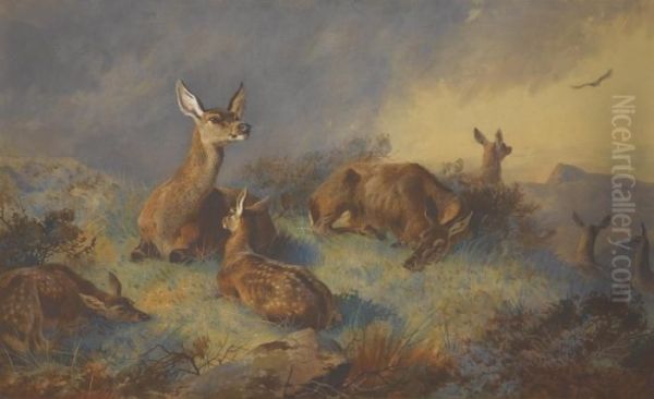 The Watchful Hinds Oil Painting by Archibald Thorburn