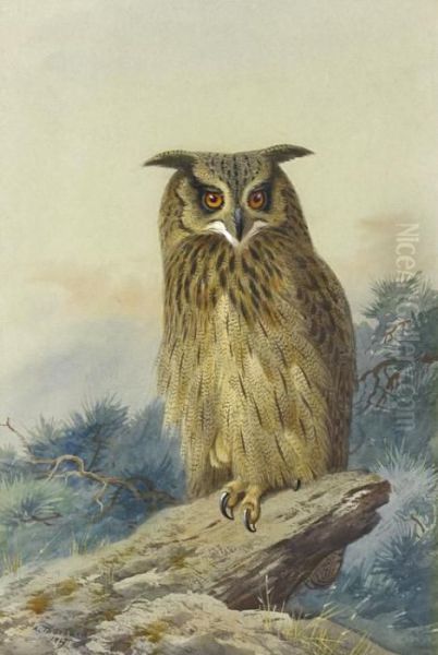 Eagle Owl Oil Painting by Archibald Thorburn