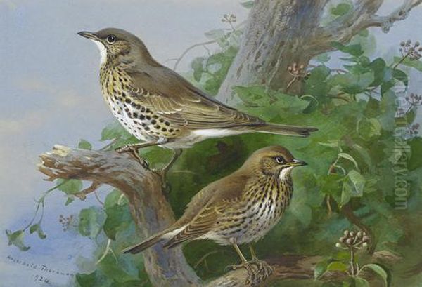 Mistle-thrush And Song-thrush Oil Painting by Archibald Thorburn