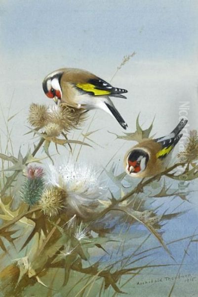 Goldfinches Oil Painting by Archibald Thorburn