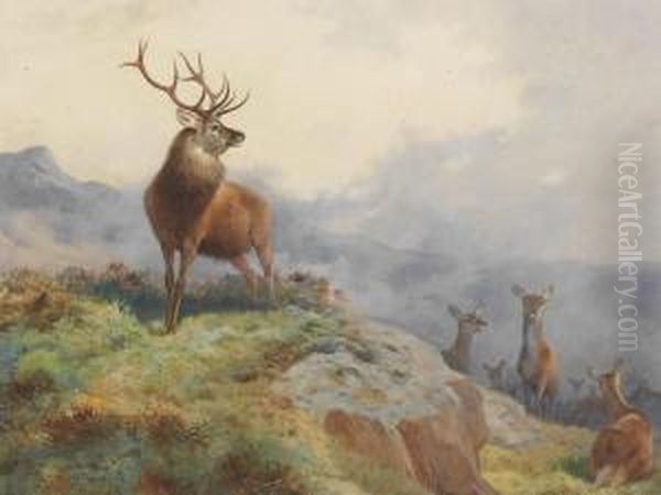 A Stag And Hinds In A Highland Landscape Oil Painting by Archibald Thorburn