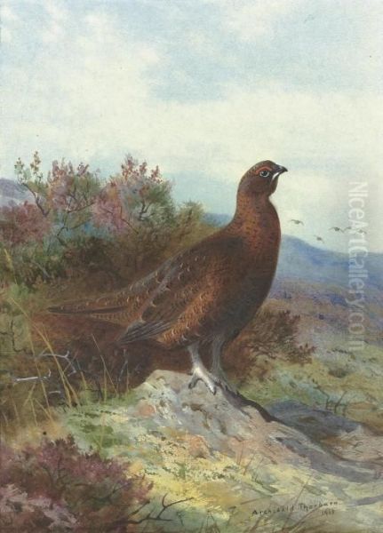 Red Grouse On A Moor Oil Painting by Archibald Thorburn