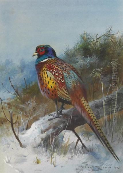 A Pheasant In A Winter Landscape Oil Painting by Archibald Thorburn