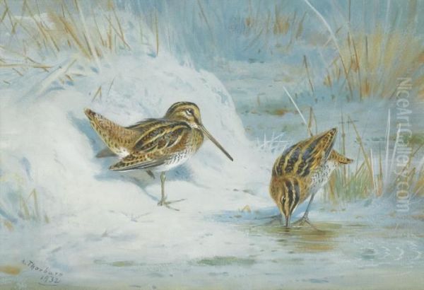 Frozen Out Snipe Oil Painting by Archibald Thorburn