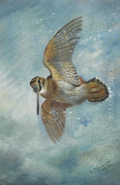 Caught In A Blizzard, Woodcock Oil Painting by Archibald Thorburn