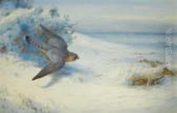 Merlin And Larks Oil Painting by Archibald Thorburn