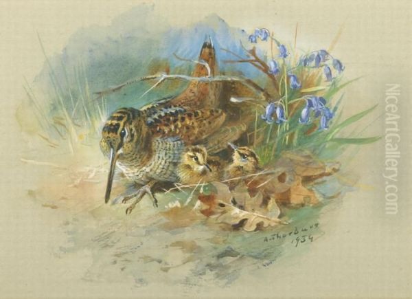 Woodcock And Young Oil Painting by Archibald Thorburn