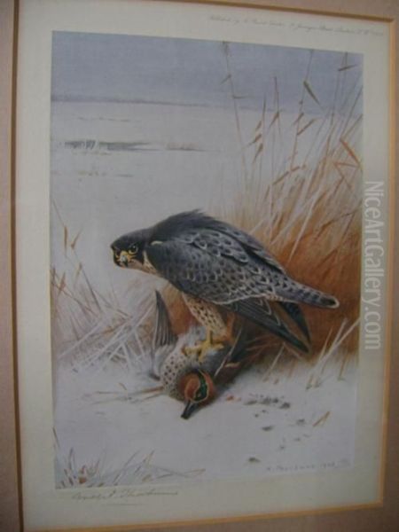 Bird And Prey Oil Painting by Archibald Thorburn