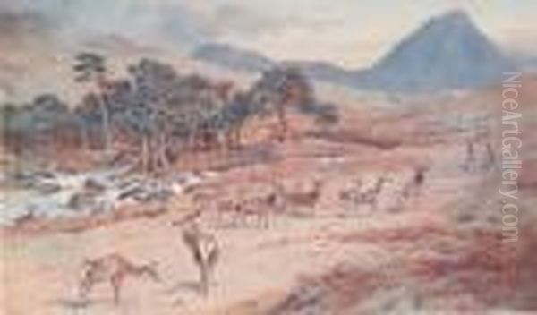 Red Deer In The Highlands Oil Painting by Archibald Thorburn