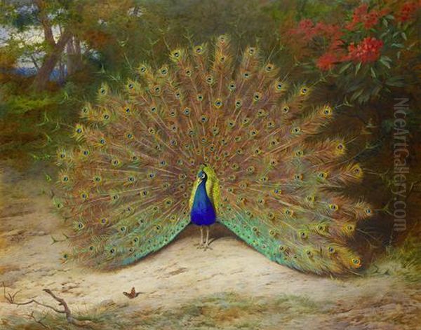 Peacock And Peacock Butterfly Oil Painting by Archibald Thorburn