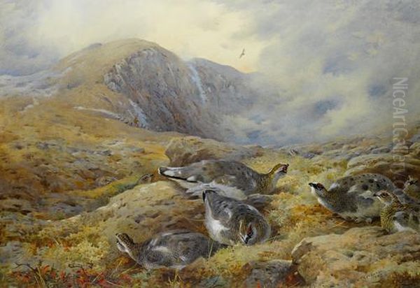 Danger Aloft - Ptarmigan Oil Painting by Archibald Thorburn