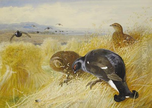 On The Stooks - Blackgame Oil Painting by Archibald Thorburn