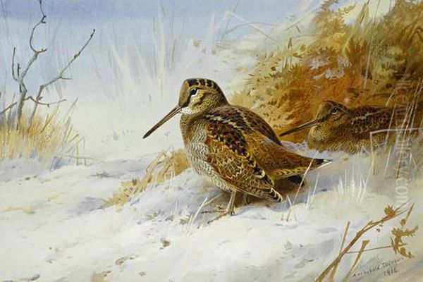 Winter Woodcock Oil Painting by Archibald Thorburn