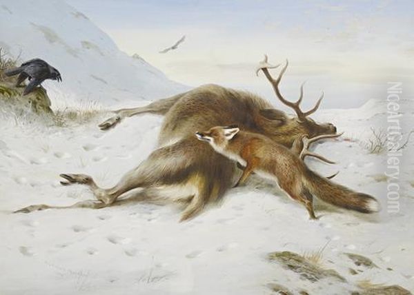 Not For The Larder Oil Painting by Archibald Thorburn