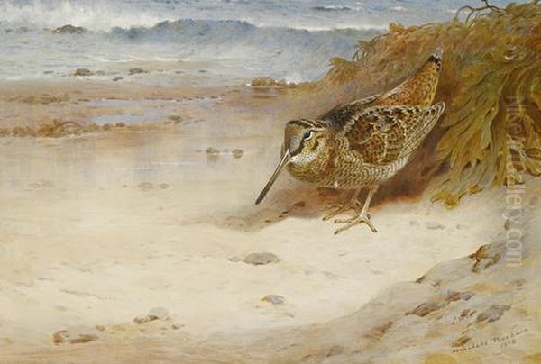 Hungry And Homeless Oil Painting by Archibald Thorburn