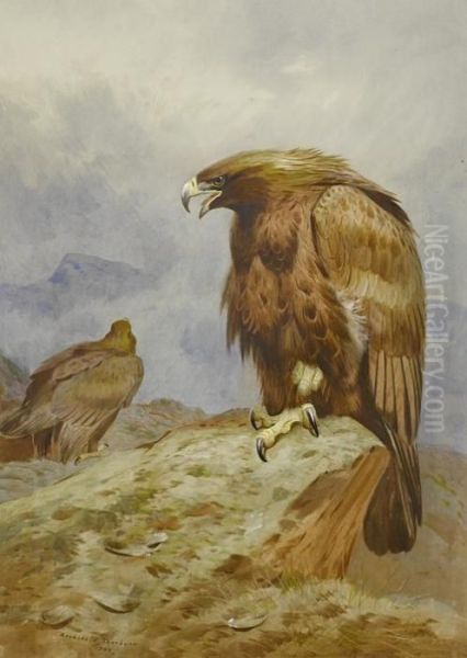 A Pair Of Golden Eagles Oil Painting by Archibald Thorburn