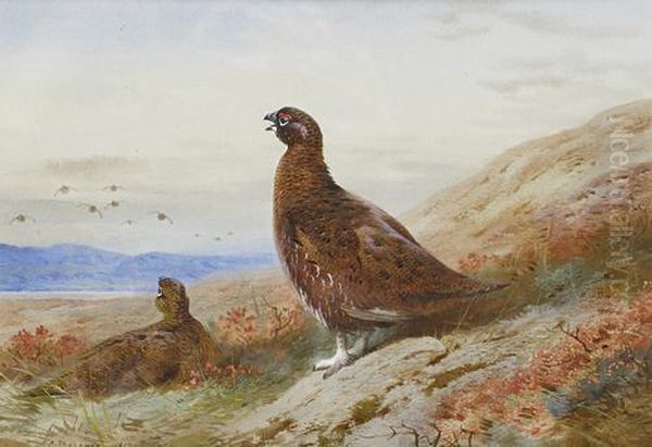 The Challenge Oil Painting by Archibald Thorburn