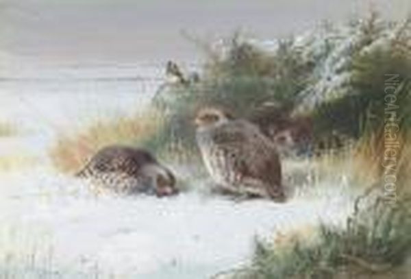 Grey Partridge And Goldfinches Oil Painting by Archibald Thorburn