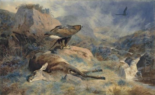 The Lost Hind Oil Painting by Archibald Thorburn