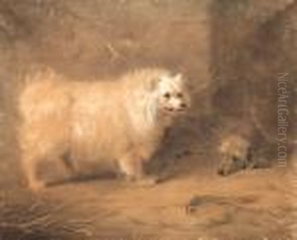 Study Of A Standing Chow Oil Painting by Archibald Thorburn