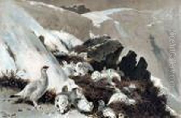 Ptarmigan On Snowslip Oil Painting by Archibald Thorburn