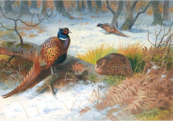 Pheasants In The Snow Oil Painting by Archibald Thorburn