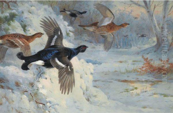 Through The Snowy Coverts-blackgame Oil Painting by Archibald Thorburn