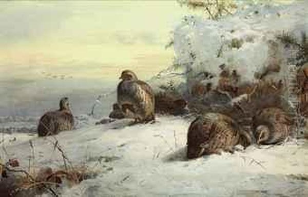 A Covey Of Grey-leg Partridge In A Snow-bound Landscape, Restingbeneath Gorse Oil Painting by Archibald Thorburn