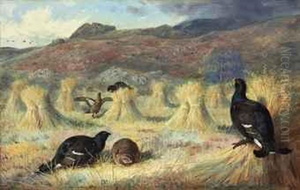 Three Blackcock And Two Grey 
Hens Amongst Corn Stooks, A Covey Ofgrouse Approaching, Achnamara, 
Argyll Oil Painting by Archibald Thorburn