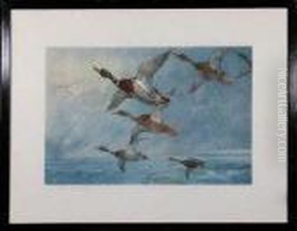 Mallard Ducks In Flight Oil Painting by Archibald Thorburn