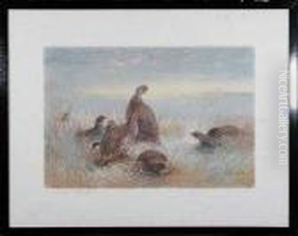 A Covey Of Partridges Oil Painting by Archibald Thorburn