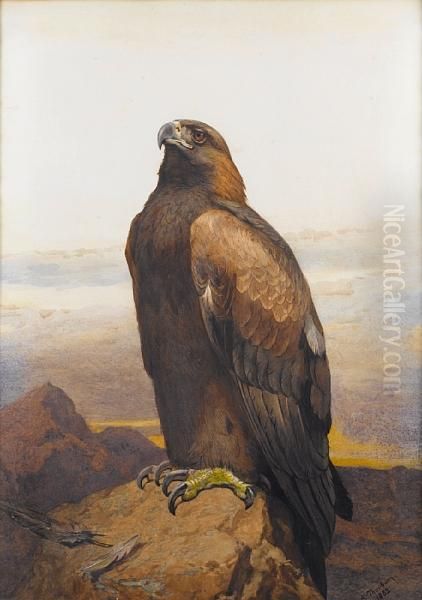 Golden Eagle Oil Painting by Archibald Thorburn