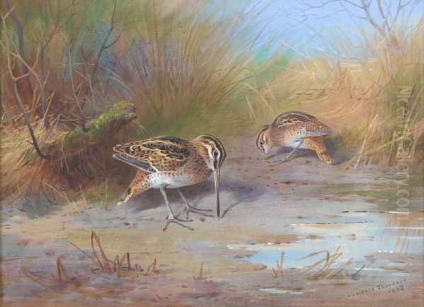 Pair Of Snipe Oil Painting by Archibald Thorburn